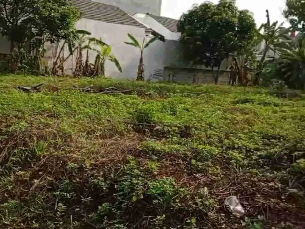 JUAL CEPAT, TANAH MURAH, SHM, ISTIMEWA LOKASI DEKAT KAMPUS UNDIP SEMARANG
