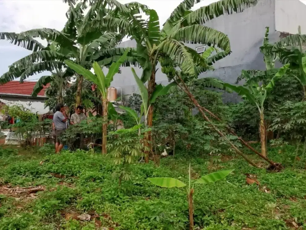 Tanah Kavling Luas di Lubang Buaya, Cipayung Jakarta Timur