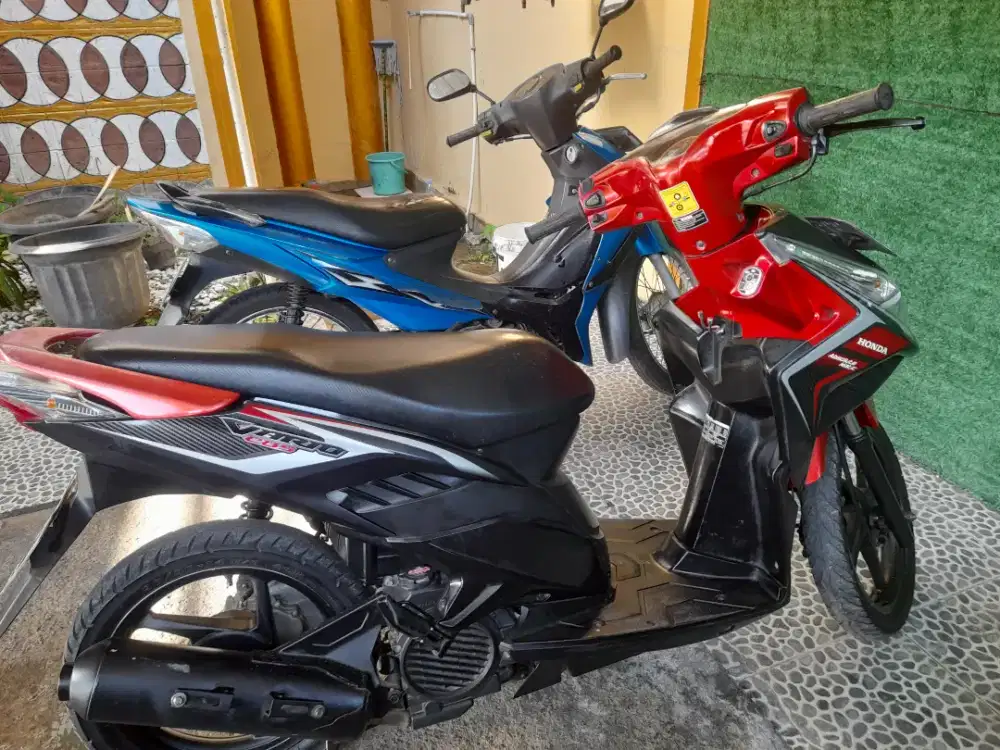 Motor vario tecno 110
