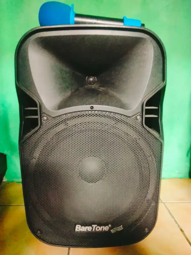 Speaker baretone 12 inch