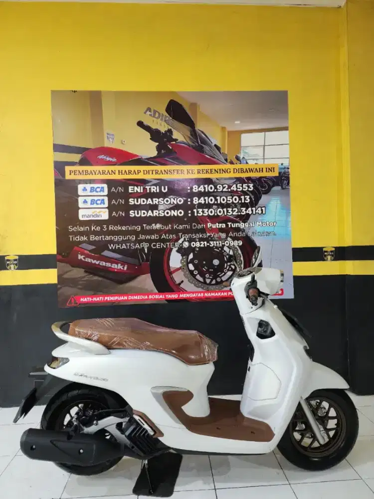 Staylo abs mulus parah