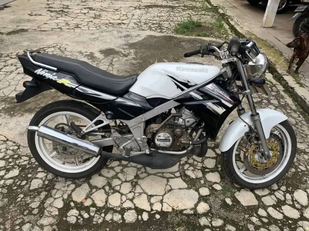 Kawasaki Ninja 150 R up Ss