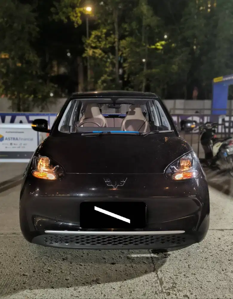 BINGUO LITE EV 2025
