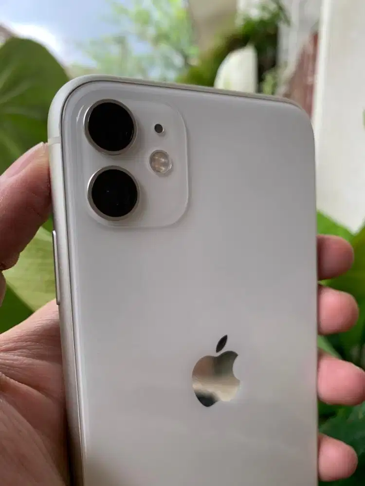 Iphone 11 256 gb mulus