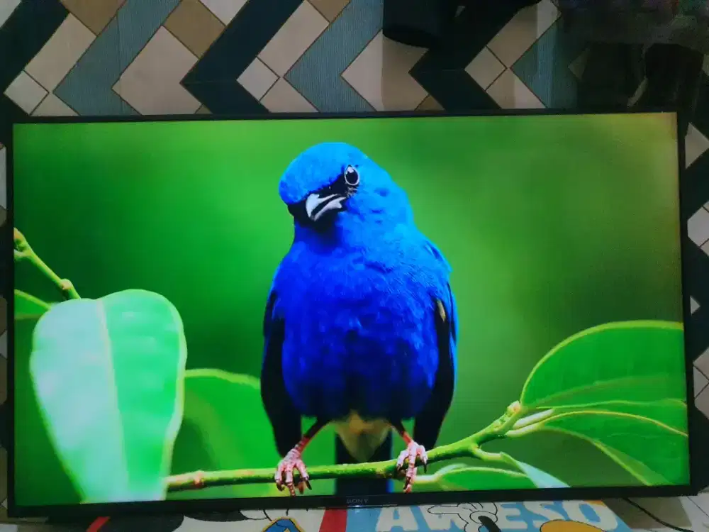 Smart tv sony 55inch