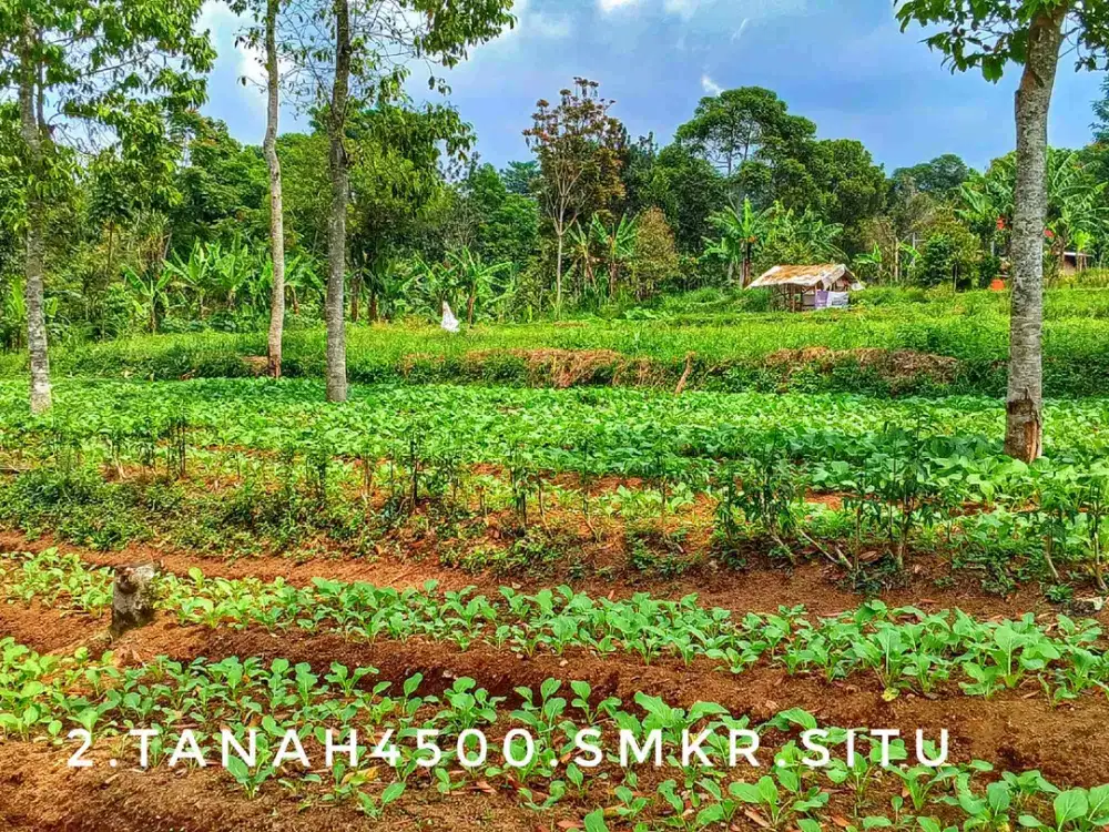 Dijual tanah matang luas pinggir jalan strategis view keren hijau asri.