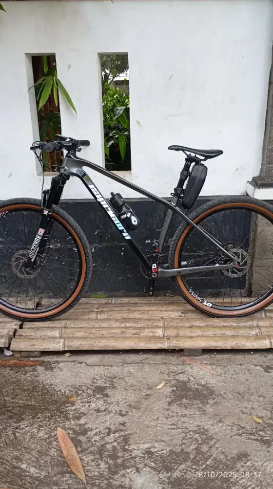 Sepeda Gunung Pacific stinger 8 Carbon
