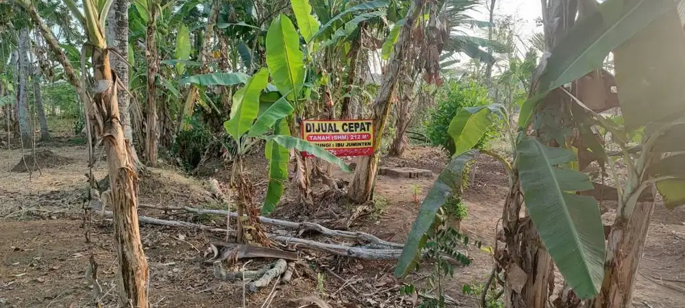 Dijual Cepat Tanah Kebon 212 m SHM