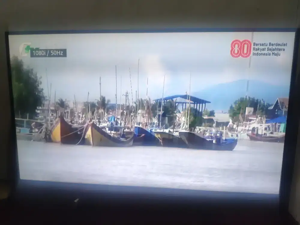 Panasonic 50 inch