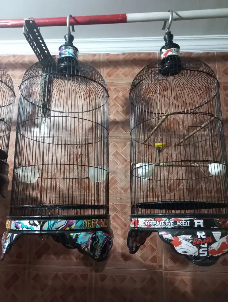 Kandang lakbet 2pcs masih mulus