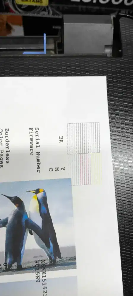 Epson l3110 series