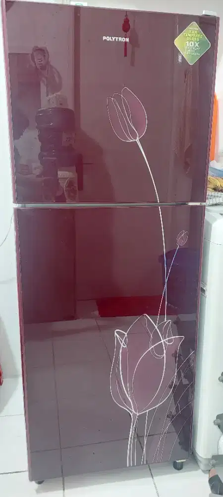 Kulkas 2 Pintu Polytron