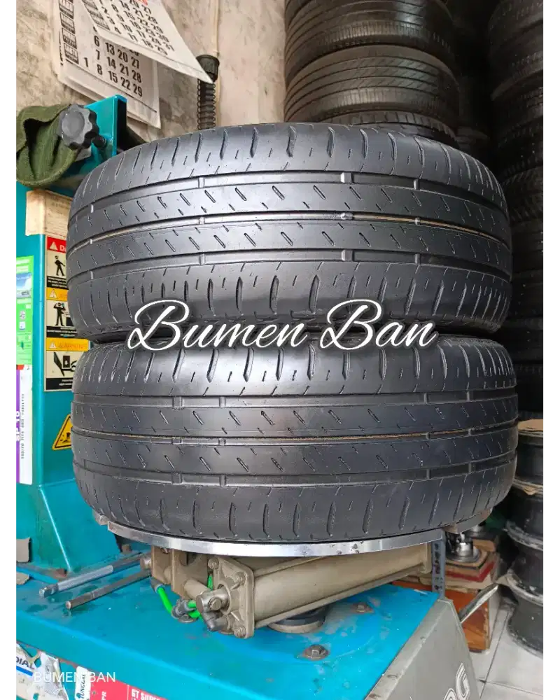 Ban 205 55 R16 Bridgestone Ecopia XPander Stargazer Civic