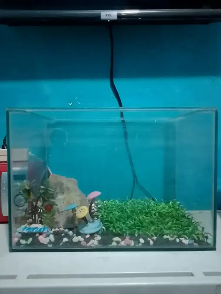 1set aquarium ukuran 30×40