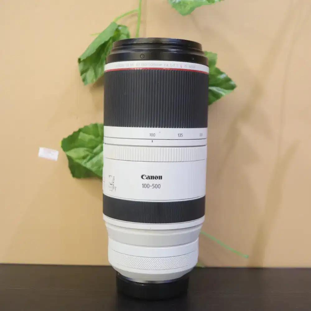 CANON RF 100-500MM EROR