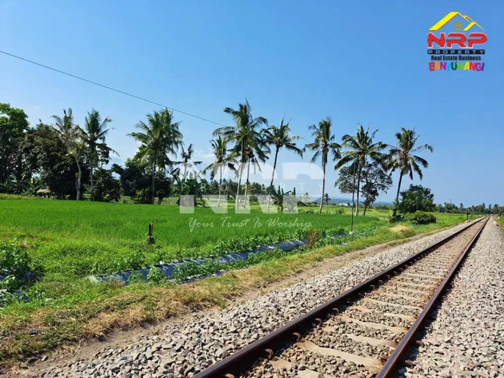 Dijual Tanah Murah 100 Jutaan di Gitik - Rogojampi