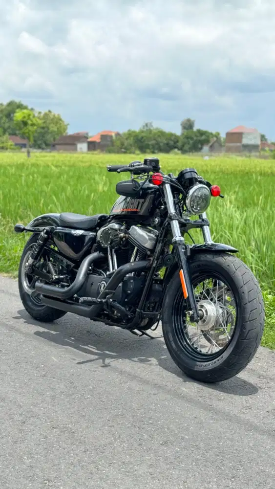 Harley davidson Sportster 48 2015