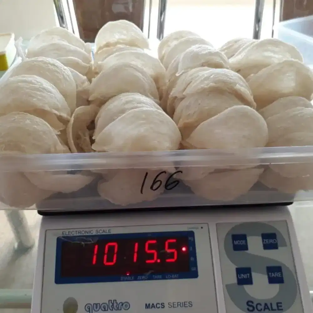 Sarang Walet Mangkok Premium