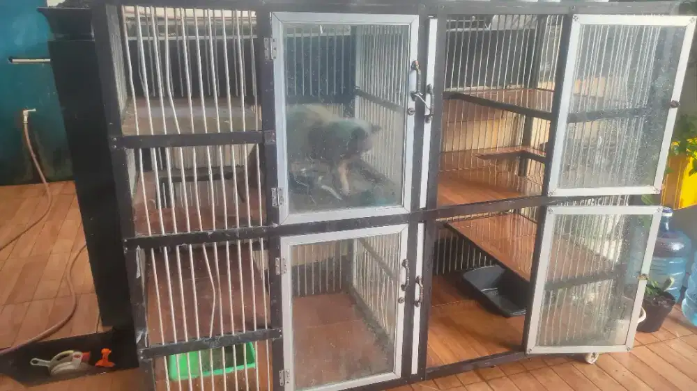 Kandang kucing alumunium pintu 4