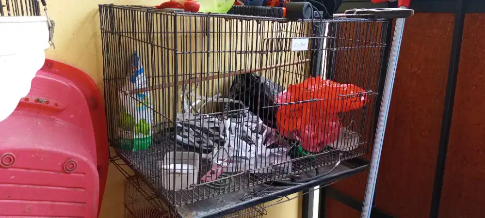 Di jual kandang besi kotak