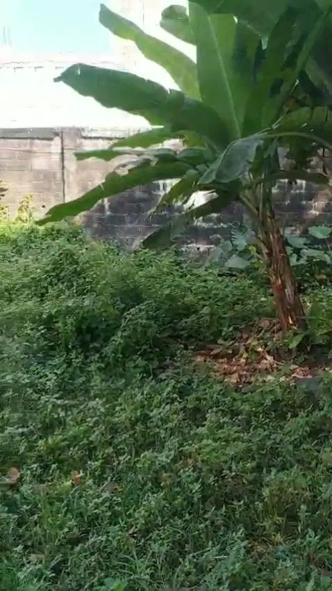 Tanah siap bangun cireundeu dekat uin nempel lebak bulus
