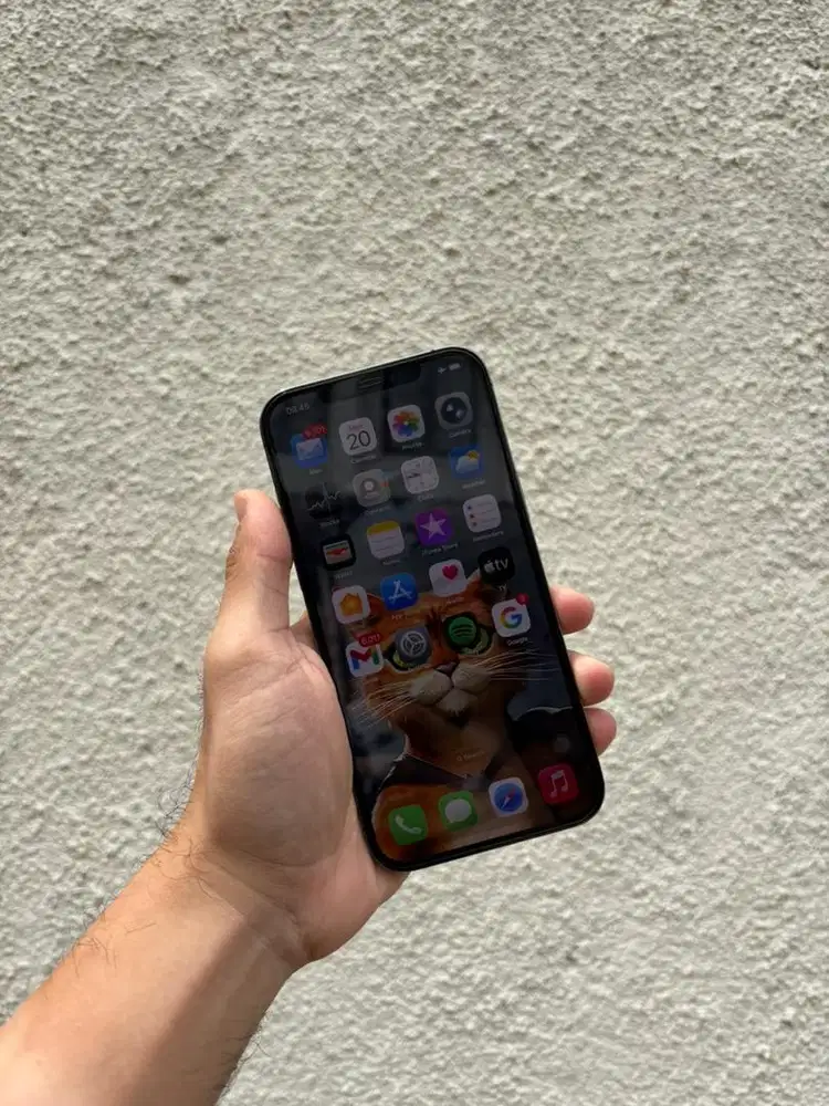 Iphone 12 Promax 256Gb Inter Wifi