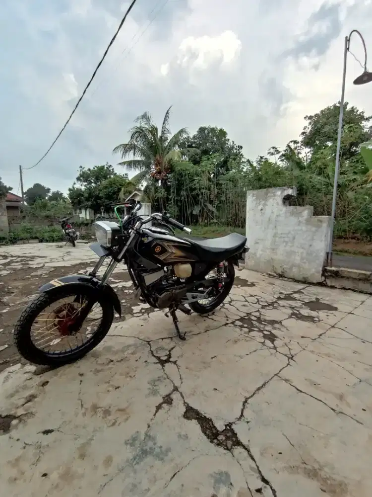 Spesial up king