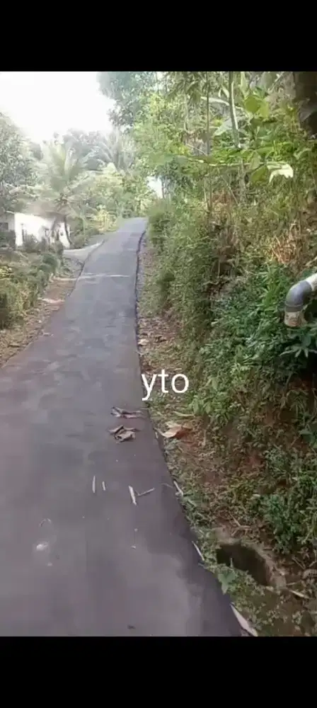 Jual kebun durian ada 8 pohon Lokasi mojogedang lt 3500m hrg 250jt neg