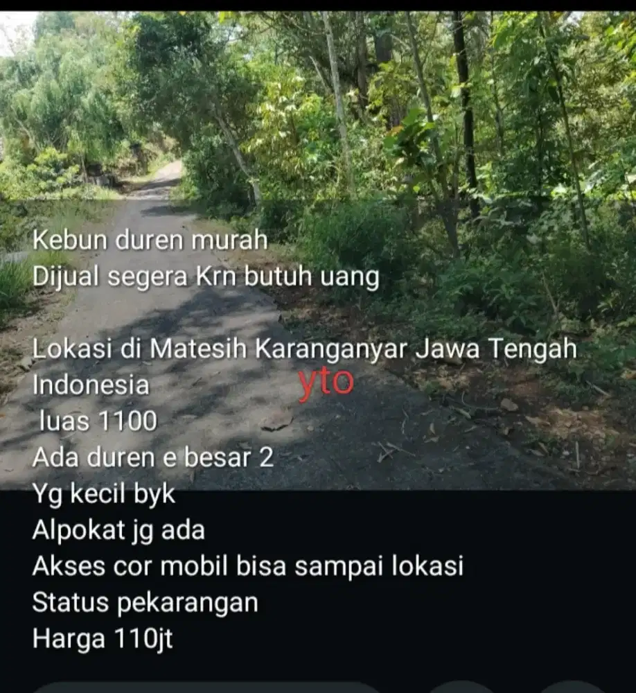 Jual tanah pekarangan lokasi mateseh luas 1100mtr harga 110jt nego