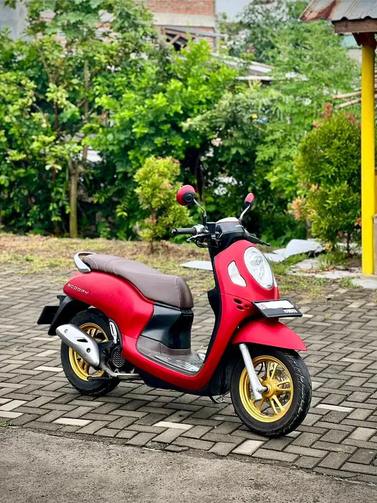 Scoopy Stylish 2023