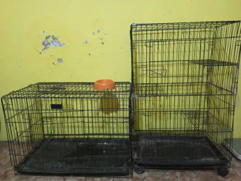 Kandang besar kucing