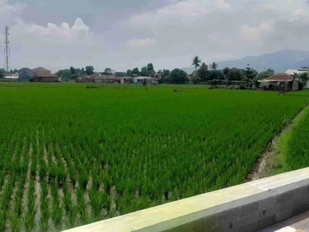 Jual Cepat Tanah Luas harga dibawah Pasaran lokasi strategis dekat sabilulungan soreang