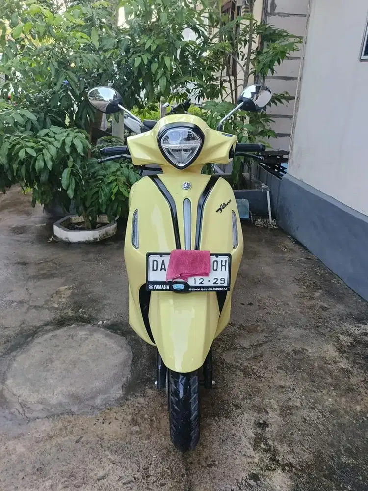 Fillano kuning jarang pakai