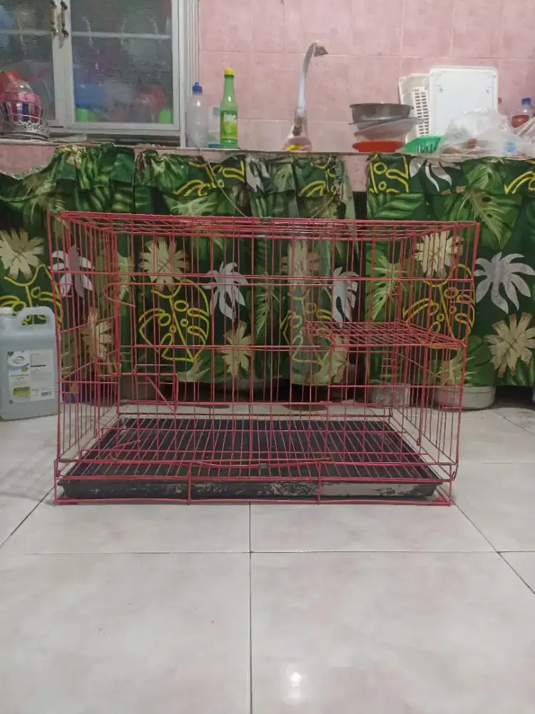 Kandang besi kucing besar