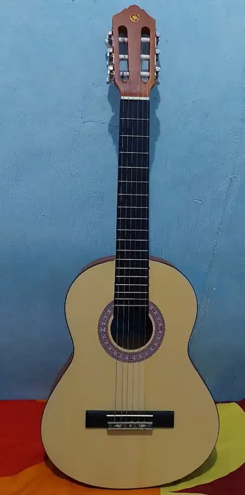 Gitar Akustik Yamaha C-315 Series