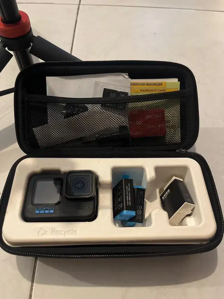 gopro hero 10 terawat