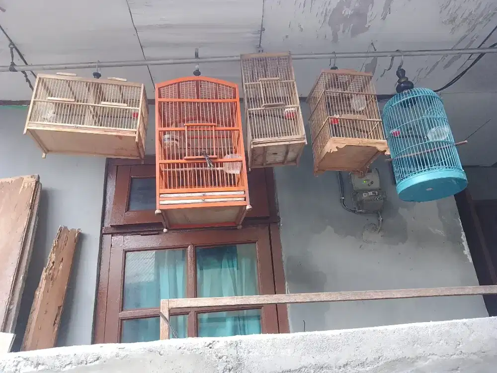 burung ada 6 , 5 kandang