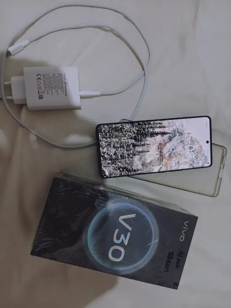 Vivo v30 5G mulus 8/256 layar lengkung