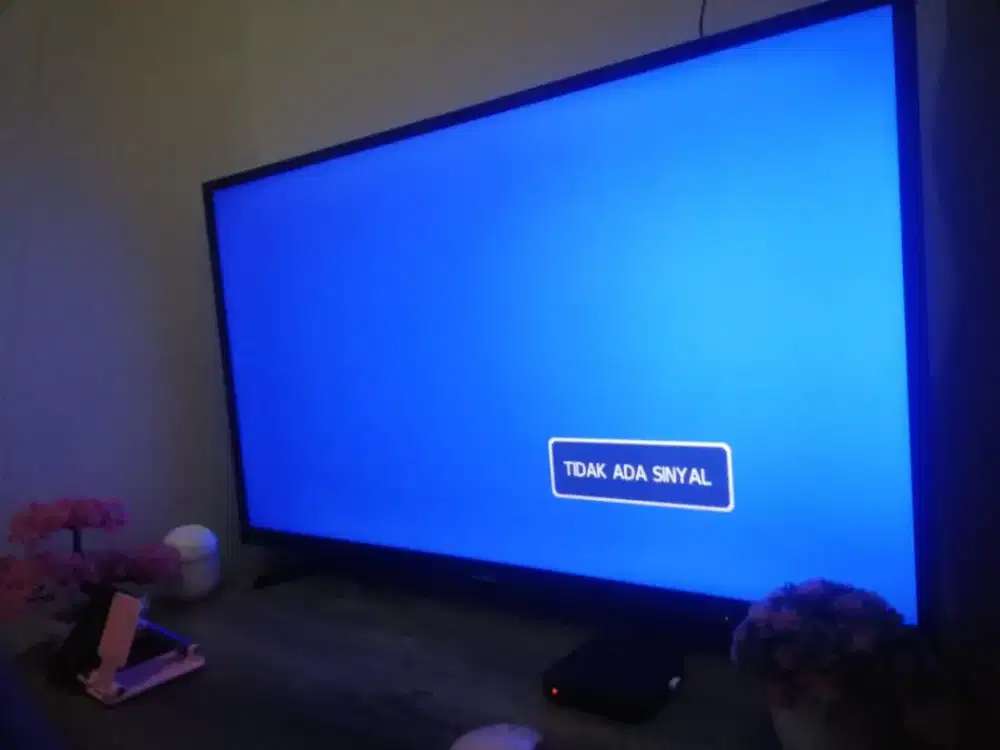 Led tv panasonic 43 inch NORMAL (digital) model no 43e305g