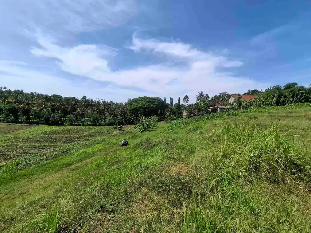 dijual tanah zona pink di pantai medewi