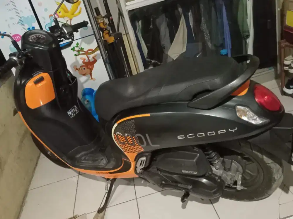 SCOOPY YUX DIBELI..