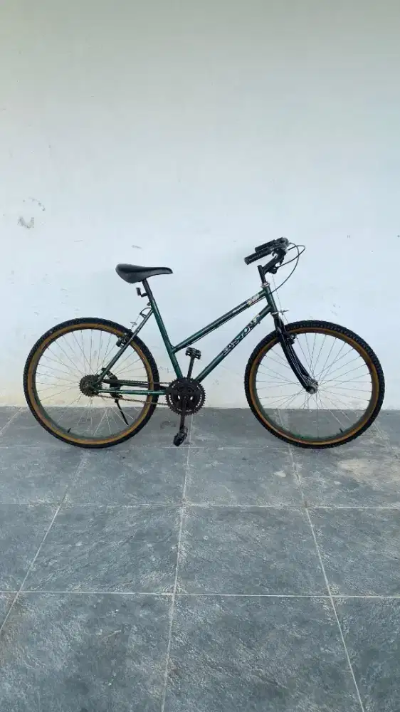 Sepeda Lady Bahan Commuterbike Size frame 20 inch
