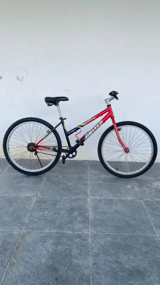 Sepeda United Dallas cat ori no seri di foto