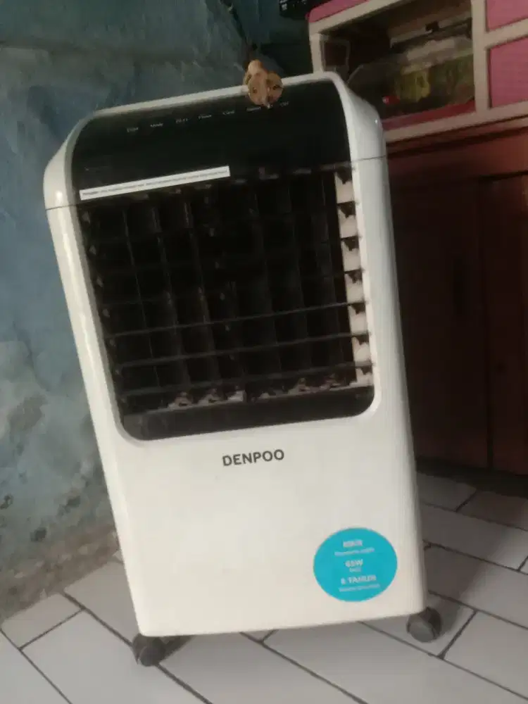 Air cooler Masi normal