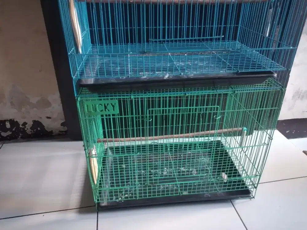 Kandang besi kotak merklucky