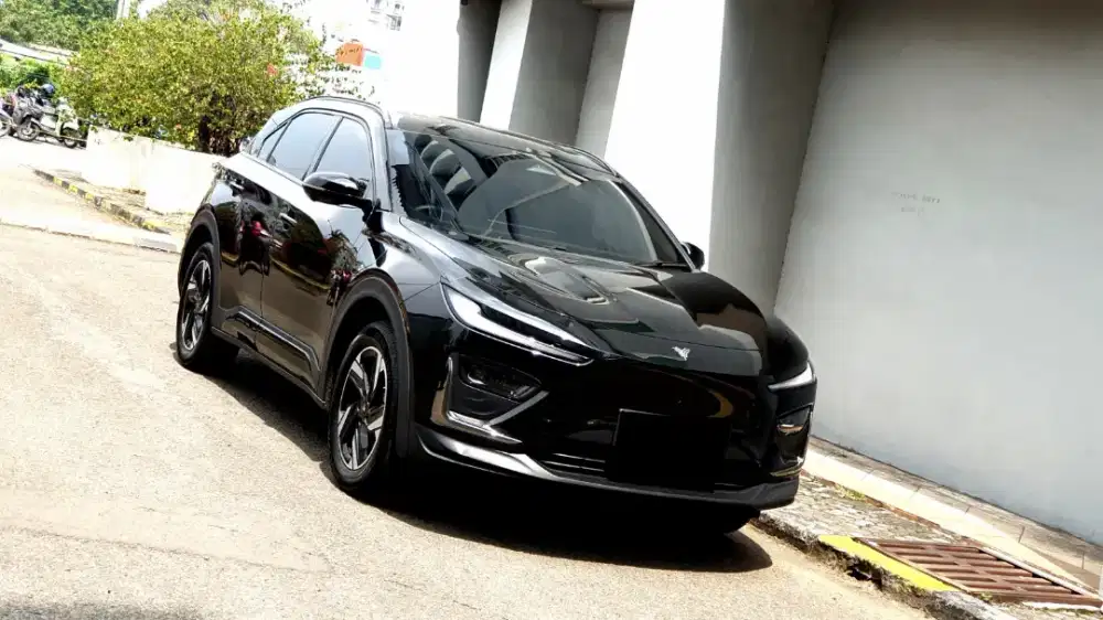 [ LOW KM ] Neta X 500 X500 Supreme Premium EV AT 2024/2025