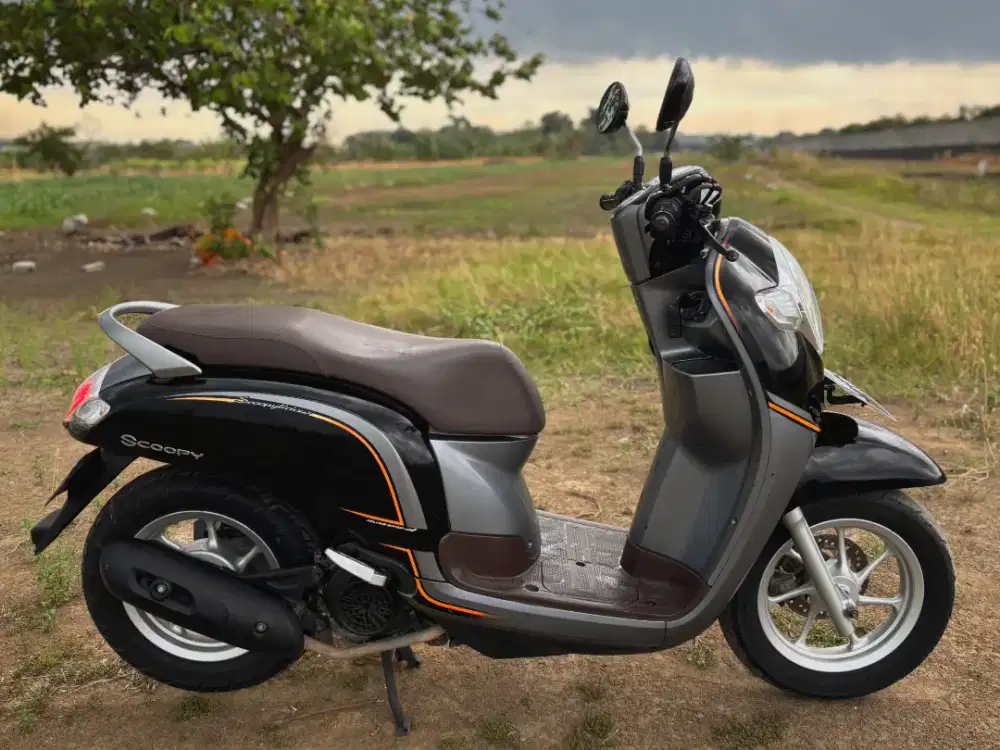 Scoopy stylish 2017