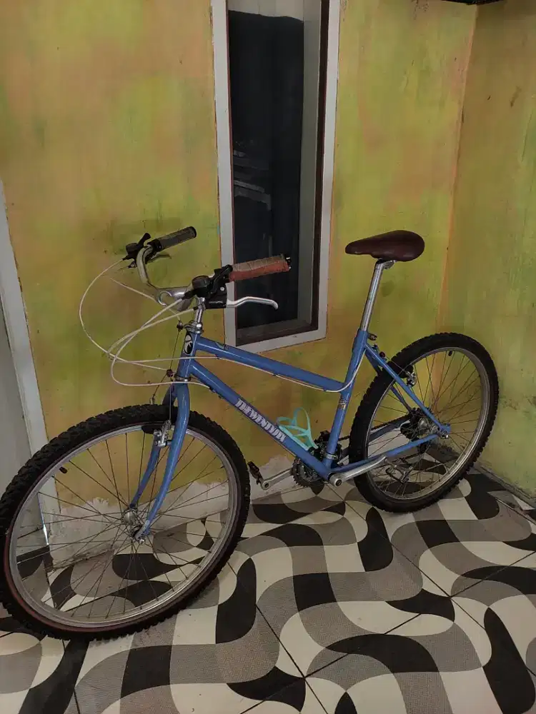 Commuter bike federal lady