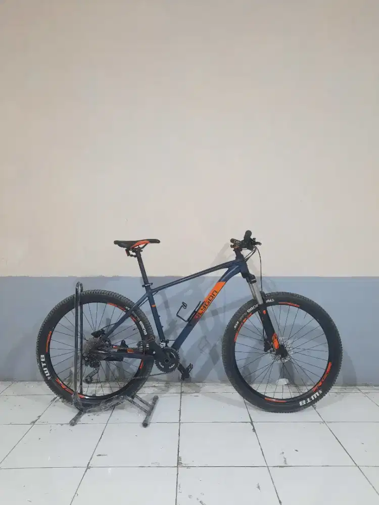 POLYGON XTRADA 6 TAHUN 2019