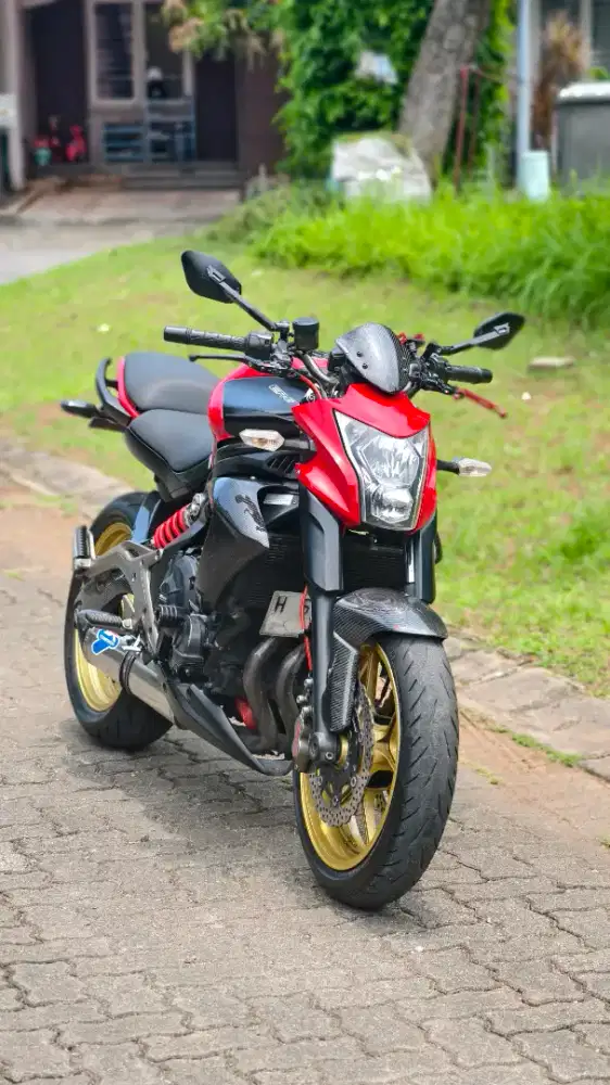 Kawasaki Er6n 2012 Red Cakep